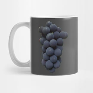 Fruits Mug